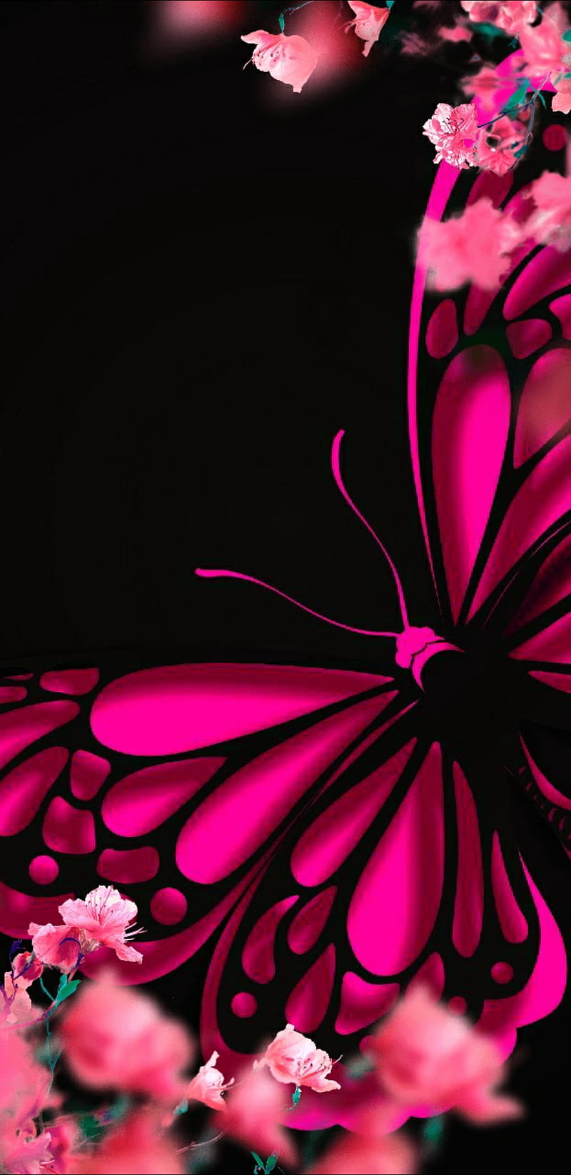 Butterfly, cute, flower, girl, pink, roses, HD phone wallpaper | Peakpx