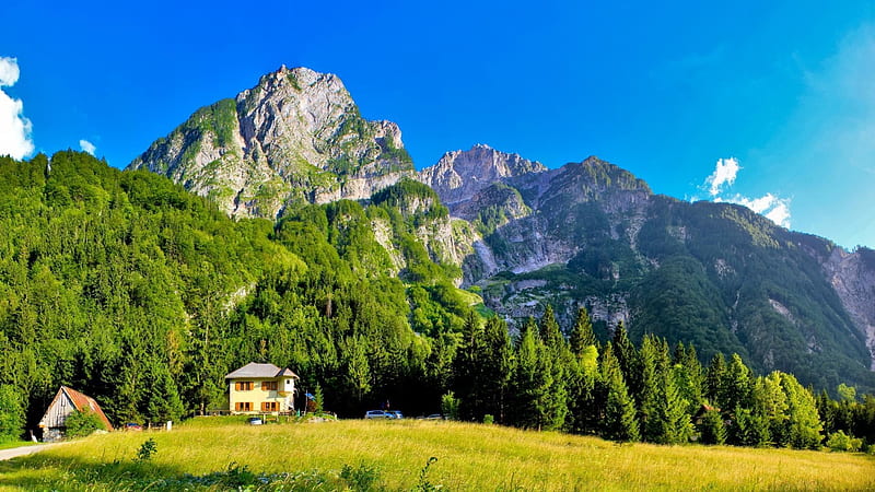 Mountain Lodges in Slovenia, mountain, forest, green, lodges, nature, trees, HD wallpaper