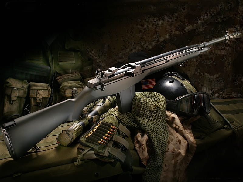 Assault Rifle, rifle, automatic, assault, semi, HD wallpaper