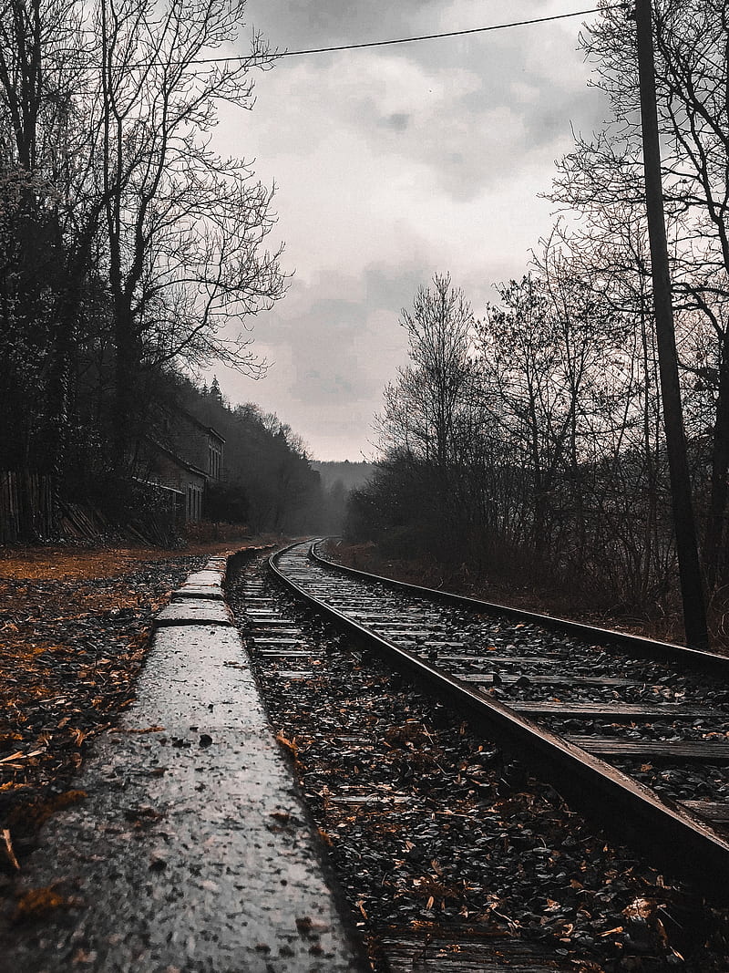 railway, rails, forest, cloudy, HD phone wallpaper