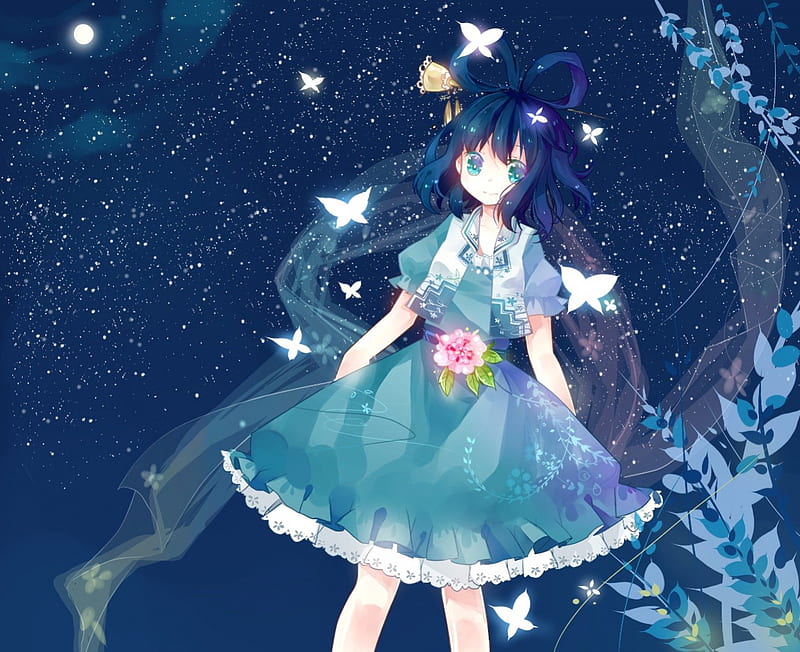 Kaku Seiga, Touhou, butterflies, starry sky, HD wallpaper Kaku Seiga, Touhou, butterflies, starry sky, HD wallpaper