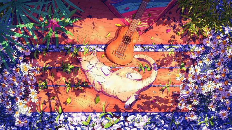 :), pisici, ukulele, flower, guitar, cat, blue, art, orange, view from the top, instrument, anime, HD wallpaper