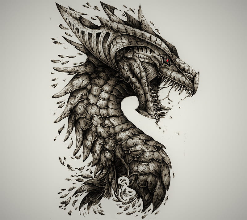 Dragon, head, scales, skull, teeth, HD wallpaper | Peakpx