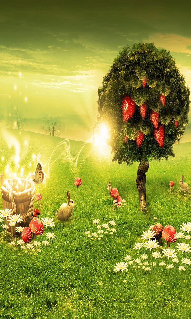 strawberry tree wallpaper hd