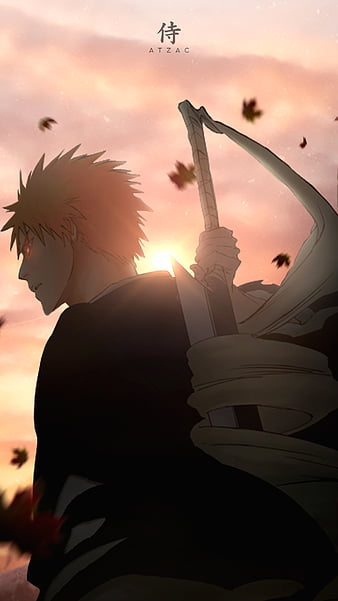 Ichigo new zanbakuto zangetsu - BiliBili