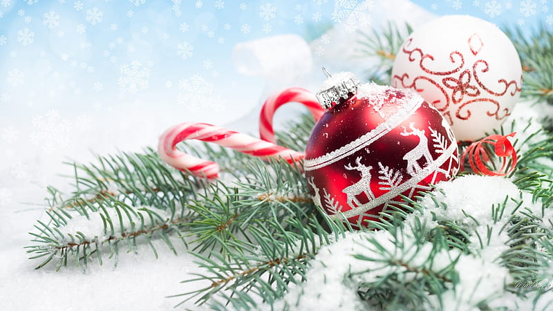Merry Christmas Candy Cane, fir, deer, winter, spruce, Firefox theme, sleigh, Christmas, holidays, Feliz Navidad, snow, decorations, Xmas, HD wallpaper