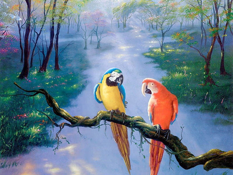 Love birds, birds, color, artwork, HD wallpaper | Peakpx