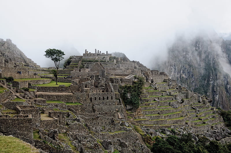 Mesmerizing Machu Picchu, Incas, Ruins, Architecture, Ancient, Peru, HD wallpaper