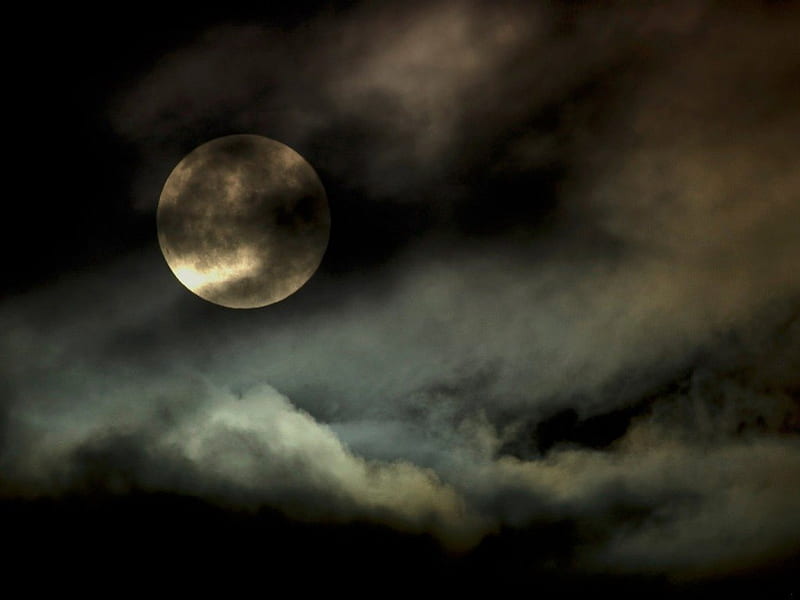 Top 74+ imagen halloween night sky background - thpthoangvanthu.edu.vn