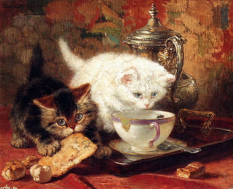 Two kittens eating, teapot, kittens, cup, feline, HD wallpaper