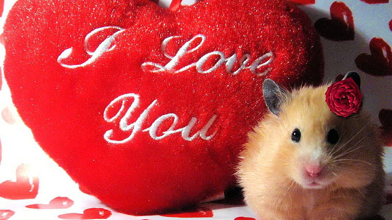 Red Heart With I Love You Text And Mouse With Flower I Love, HD wallpaper