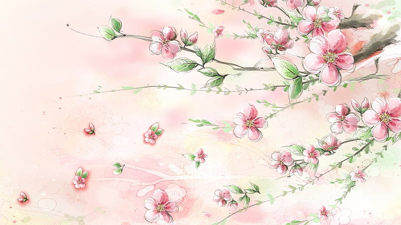 Soft Sakura Blooming, sakura, breeze, sprin, apple blossoms, cherry blossoms, summer, flowers, blooms, pink, HD wallpaper