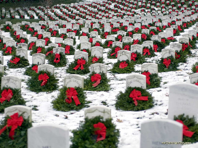 Christmas at military cementary, ceremonies, graphy, christmas, military, abstract, HD wallpaper