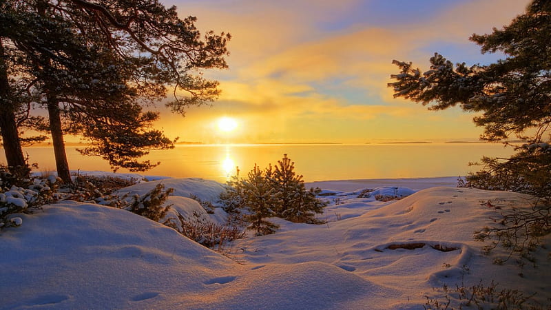 Winter sunrise, glow, bonito, sky, lake, sea, winter, cold, rays, snow, nature, river, sunrise, sunshine, morning, frost, HD wallpaper