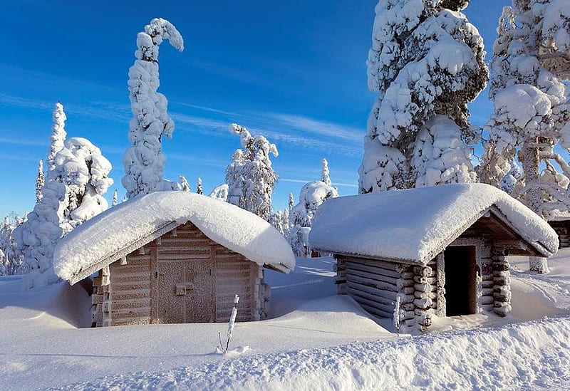Huts In Forest, deep snow, snow, loghuts, trees, sky, landscape, HD wallpaper