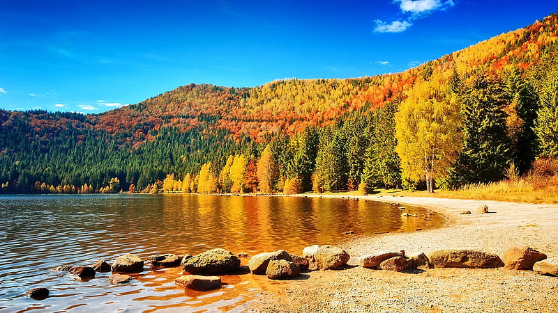 Sfanta Ana, autumn, Transylvania, romania, lake, HD wallpaper