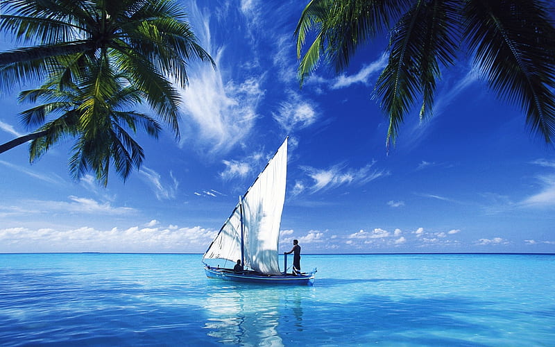 sailing over indian ocean, tree, boat, indian, ocean, HD wallpaper
