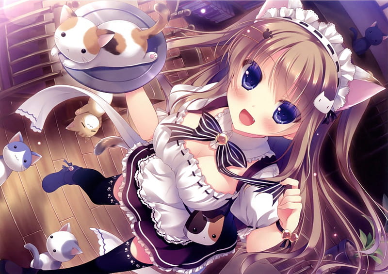 Anime Girl Maid Cat HD wallpaper  Peakpx