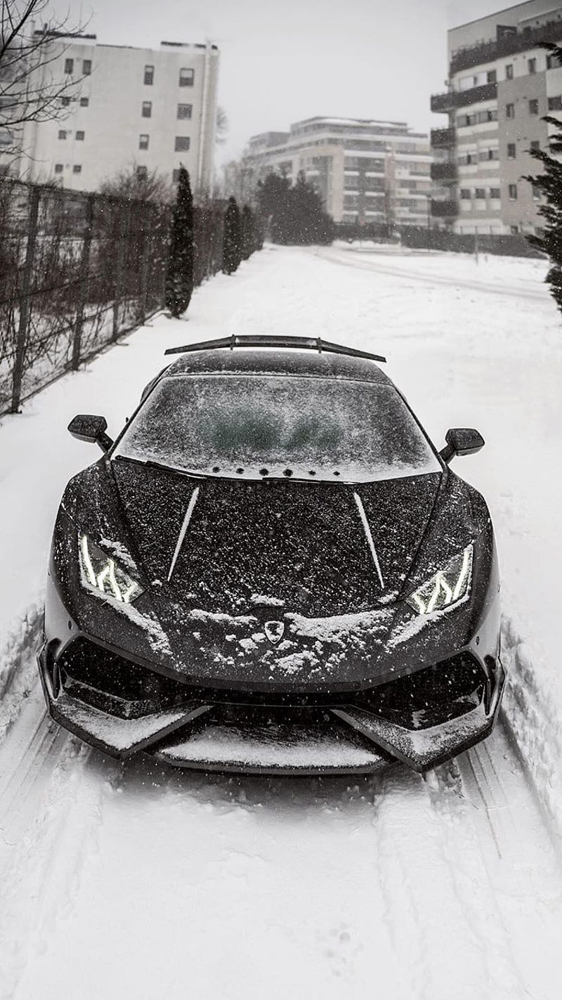 Winter and Lambo, auto, black, car, carros, cool, forest sport, white, HD phone wallpaper