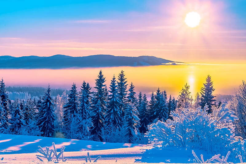 Lapland, sky, winter, north, sun, view, bonito, trees, cold, mountain, snow, sunrise, frost, HD wallpaper