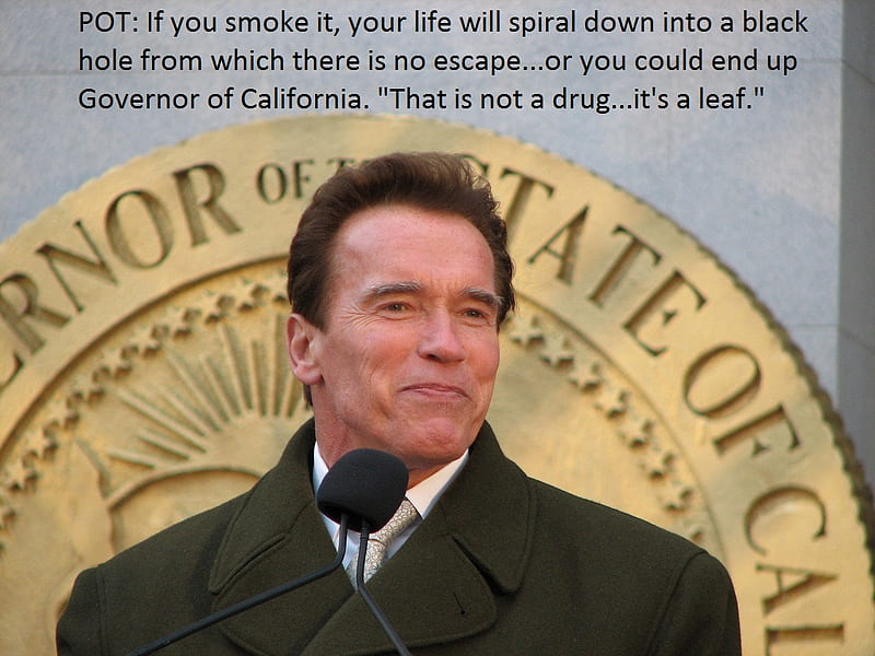 California Governor Arnold Schwarzenegger, arnold schwarzenegger, california, governor, HD wallpaper
