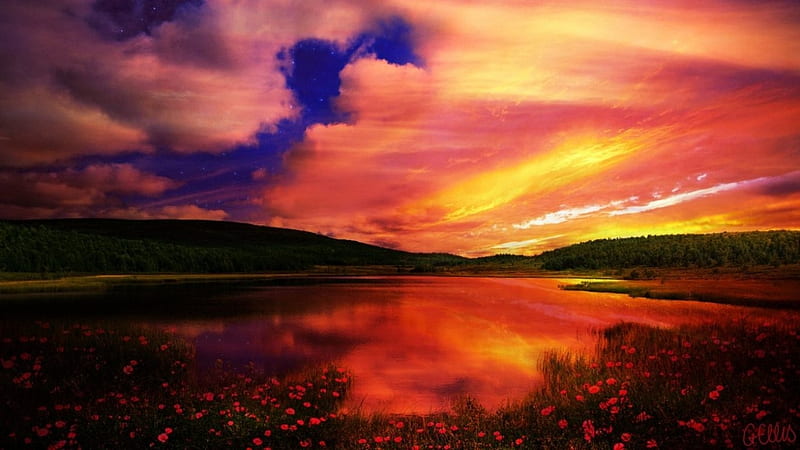 Dramatic Sunset, flowers, breakthrough, nature, sunset, reflection, clouds, sky, lake, HD wallpaper