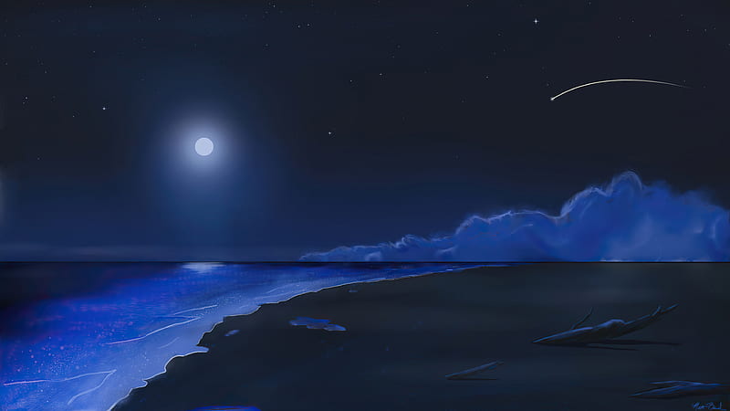 Beach Shooting Stars Moonlight , beach, stars, nature, artist, artwork, digital-art, HD wallpaper