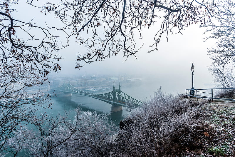 bridge, fog, aerial view, branches, frost, snow, winter, budapest, hungary, HD wallpaper