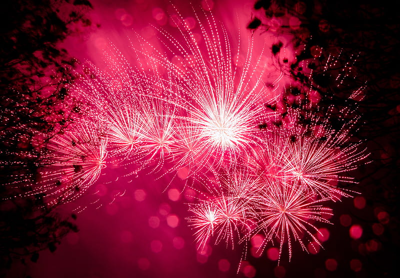 salute, fireworks, holiday, sparks, pink, HD wallpaper
