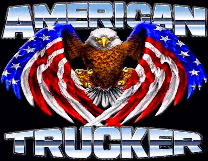 american trucker, eagle, american, 18 wheels, trucker, HD wallpaper