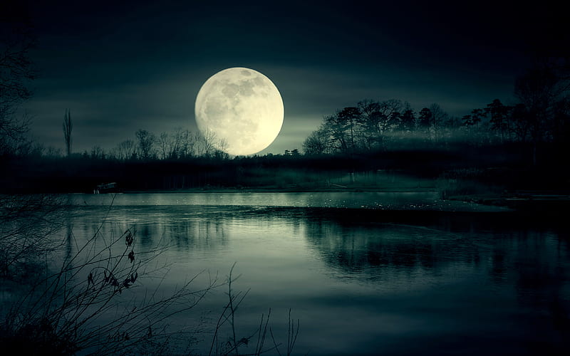 Full Moon Night Near Lake, HD wallpaper