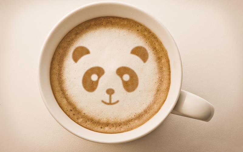 :), coffee, cup, panda, capuccino, HD wallpaper