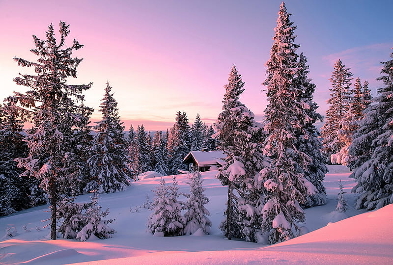 Peaceful wintermood, winter, house, snow, bonito, sunset, peawceful, mood, HD wallpaper