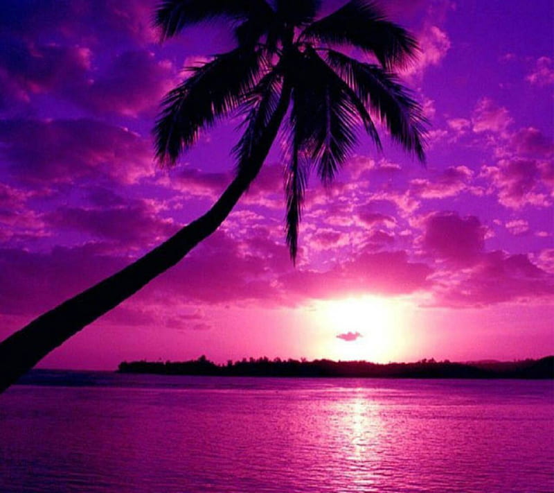 Purple Sunset, HD wallpaper
