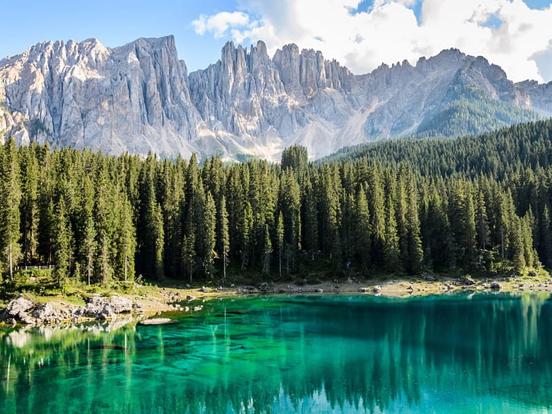 Beautiful Carezza Lake, Aquatic, Fir, Italy, View, Mount, Green, HD wallpaper