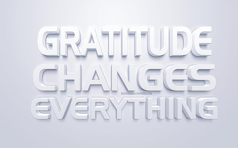 Gratitude changes everything, popular quotes, white 3d art, white background, quotes about gratitude, motivation, inspiration, creative art, short quotes, HD wallpaper