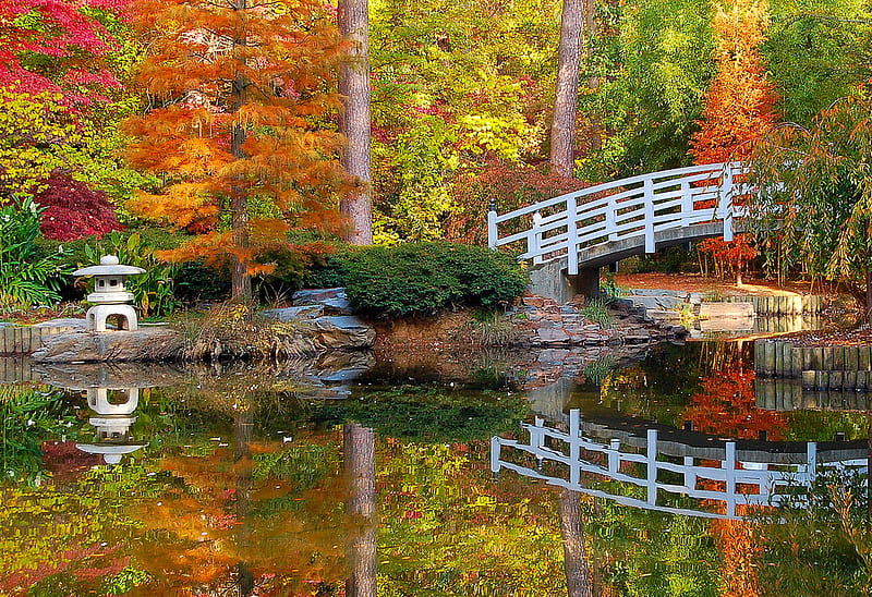 Bridge in autumn, autumn, river, reflection, bridge, HD wallpaper | Peakpx