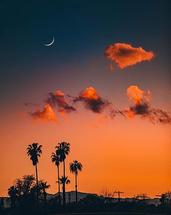 Free Images : cloud, moon, tree, sunset, sky, orange clouds, night