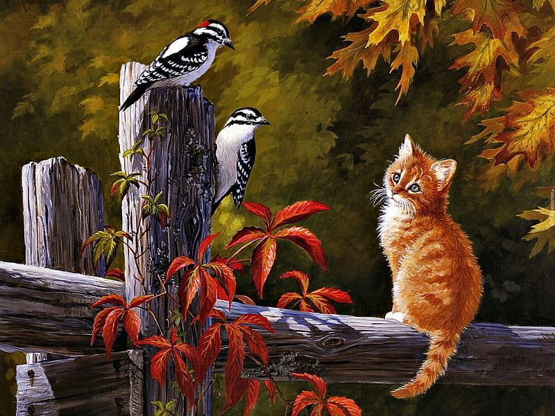 :), pasari, pictura, pisici, kitten, fence, art, autumn, persis clayton weirs, toamna, bird, painting, HD wallpaper
