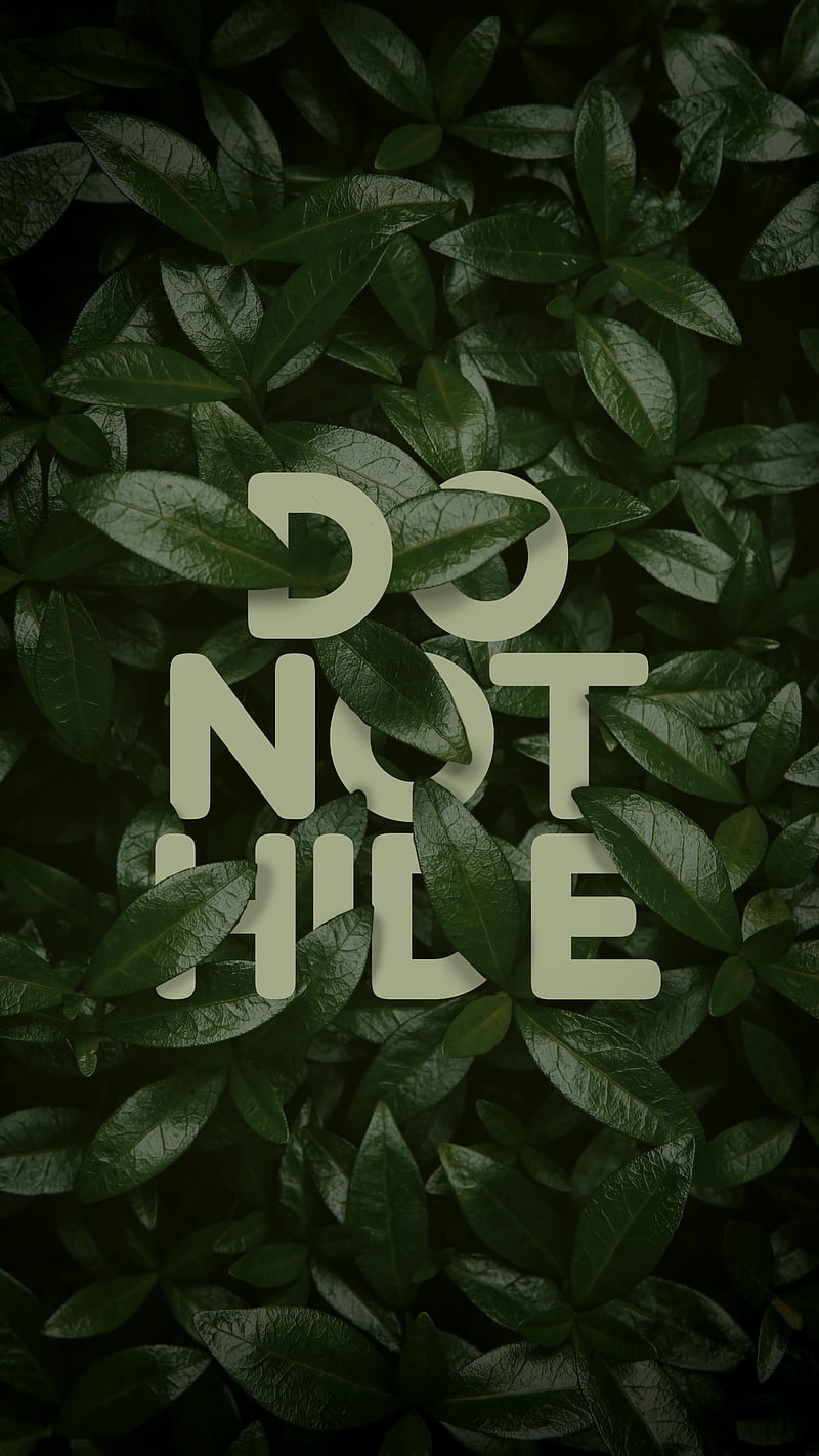 Do Not Hide, clean, cool, desenho, do, green, hide, leaves, motivation, not, pride, quote, simple, text, HD phone wallpaper