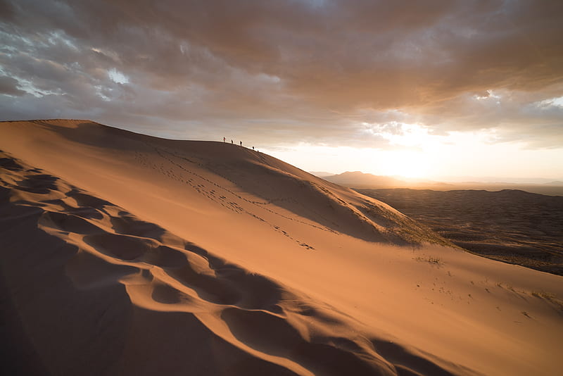 group of people walking on desert during dawn, HD wallpaper