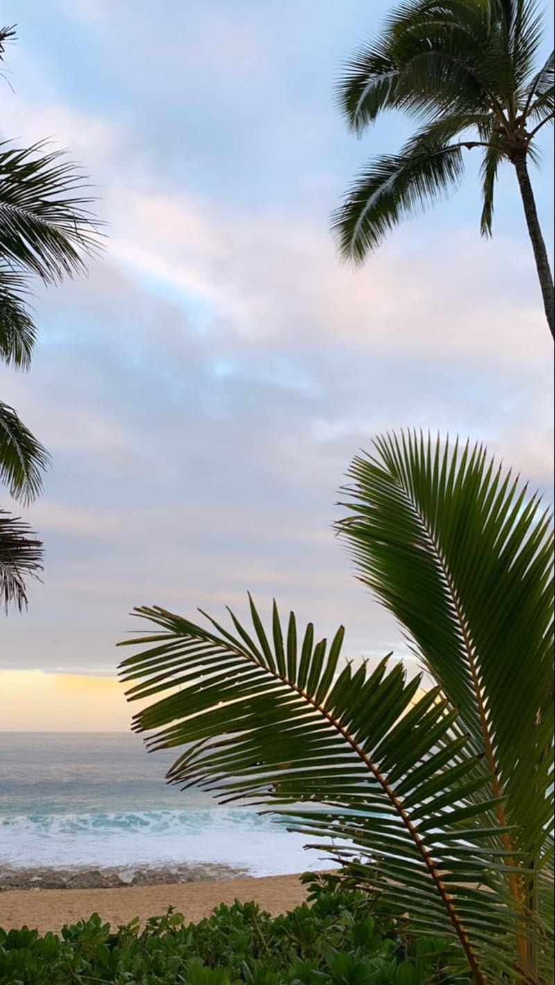 Hawai'i 彡. paisaje, cielo estético, océano, hawaii estético, Fondo de pantalla de teléfono HD