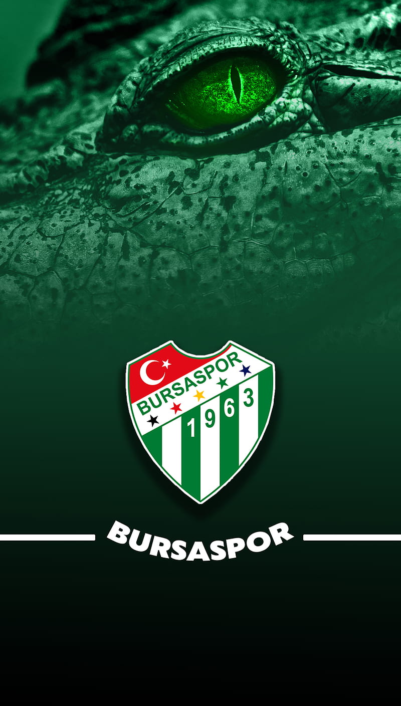 Bursaspor, crocodile, symbol, Teksas, White, green, Bursa, football, timsah, HD phone wallpaper