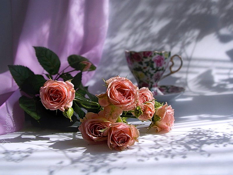 Happy Birtay Di, tea cup, green, mauve white, beauty, roses, pink, HD wallpaper