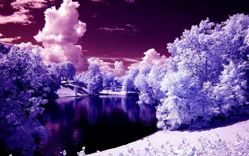 Infrared Photography Trees iPad Wallpapers Free Download