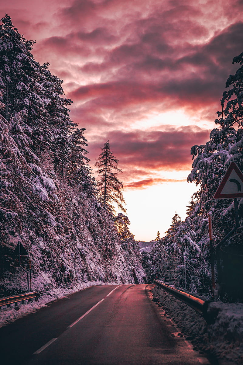 road, trees, snow, dusk, nature, HD phone wallpaper