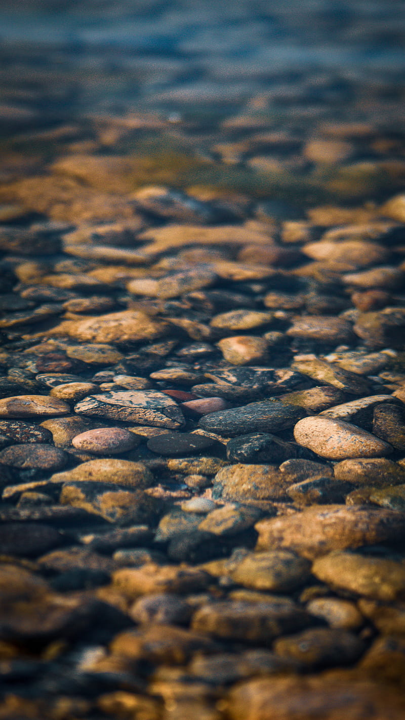 prompthunt: Laptop wallpaper of colorful stones in a shallow stream with a  small frog
