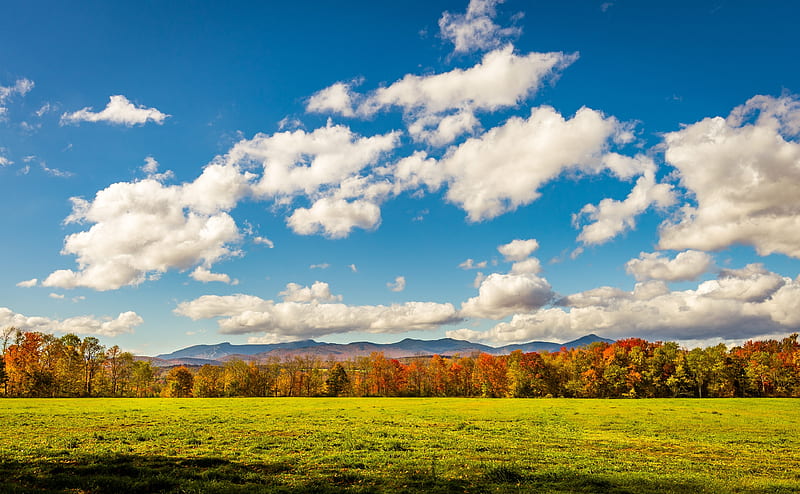 Autumn, Fall, Landscape, Blue Sky, Clouds,... Ultra, Seasons, Autumn, Nature, Colorful, Landscape, Mountain, Bright, Colourful, Contrast, America, United, Harvest, Clouds, Fall, Vermont, States, Vivid, foliage, nikon, fallfoliage, unitedstates, nikkor, unitedstatesofamerica, d610, naturegraphy, elmore, lamoille, mansfield, morristown, mtmansfield, HD wallpaper