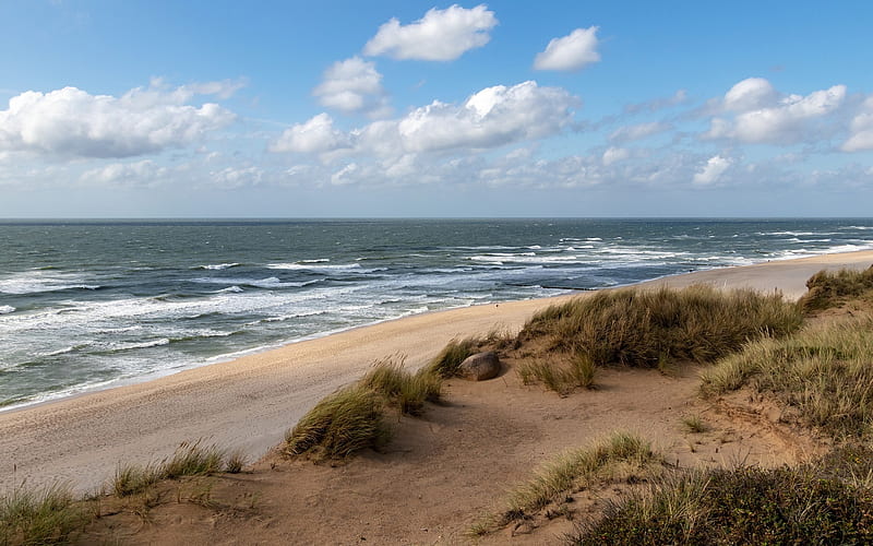 North Sea Beach, sand, dunes, sea, beach, grass, clouds, HD wallpaper