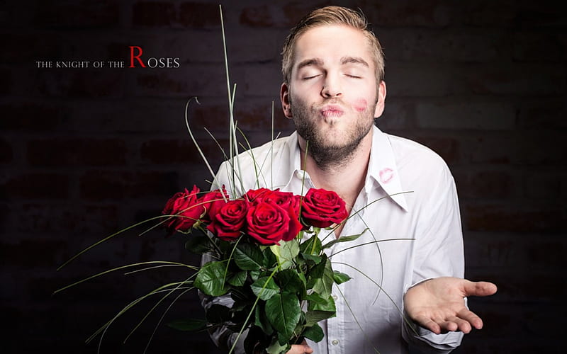 The Knight of the Roses, red, bouquet, rose, flower, man, valentine, white, kiss, HD wallpaper